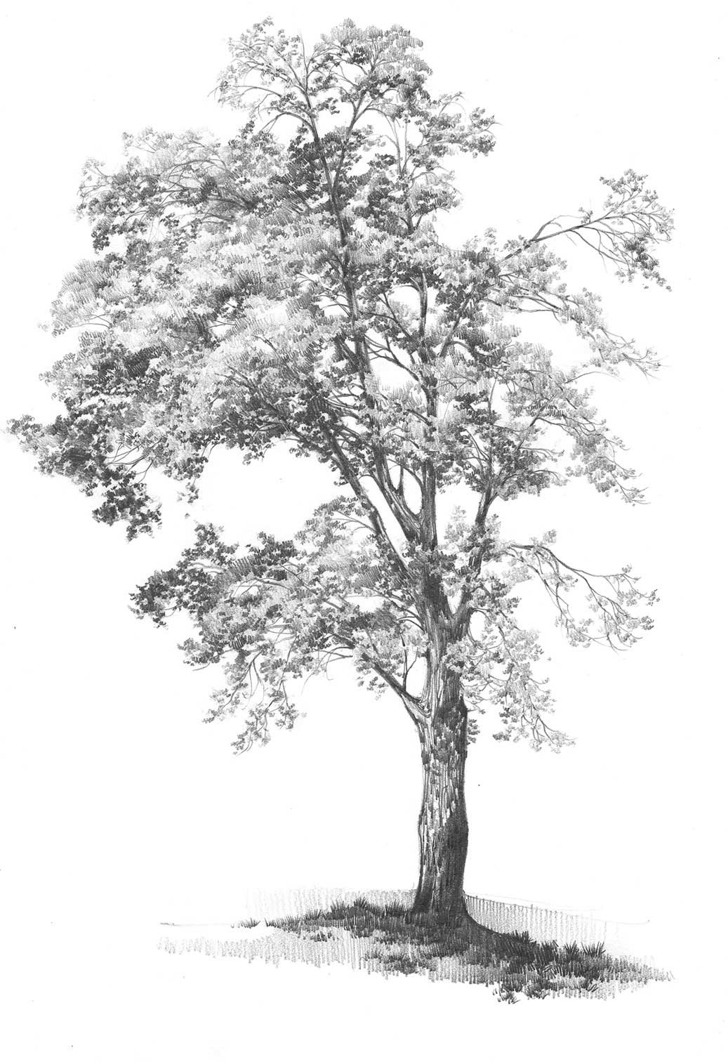 Picture6